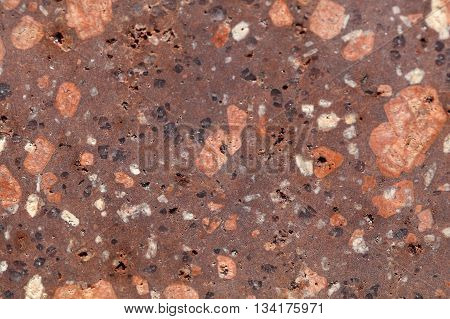 Surface of a porphyry rhyolite rock from central Europe Saxony-Anhalt. The rock contains fragments of feldspars quartz and amphibole minerals in a fine grained matrix.