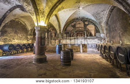 Old Vinery In Eberbach
