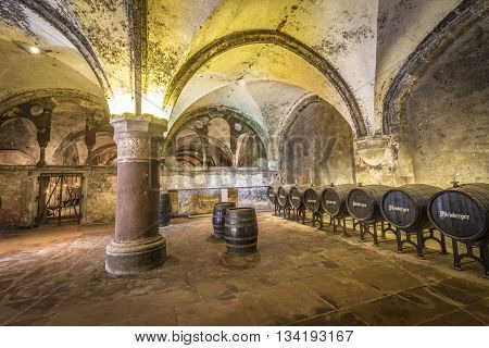Old Vinery In Eberbach