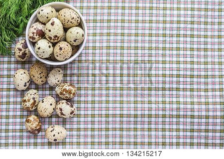 Quail eggs in a white bowl and a scattering of eggs and fresh herbs on a light background