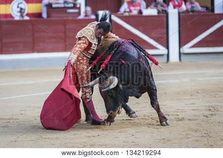 Jaen Spain - October 18 2010: The Spanish Bullfighter El Fandi bullfighting with the crutch in the Bullring of Jaen Spain