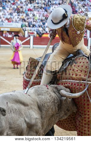 Jaen Spain - October 18 2010: Picador bullfighter lancer whose job it is to weaken bull's neck muscles in the bullring for Jaen Spain