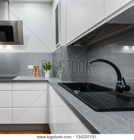 Basil In Modern Kitchen