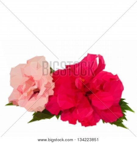 Low poly illustration colorful red and pink hibiscus flowers with green leaves