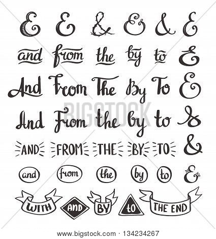 collection of hand sketched ampersands and catchwords made in vector. Handsketched set of design elements. Calligraphic detailes.