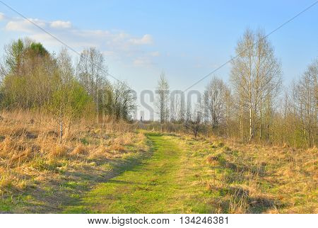 Spring landscape with rural road at spring sunny day.