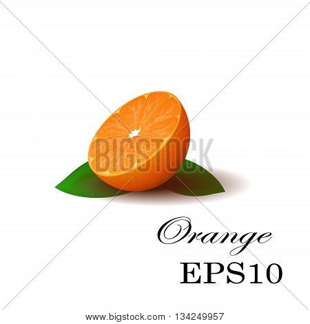 Vector image, an orange on a white background