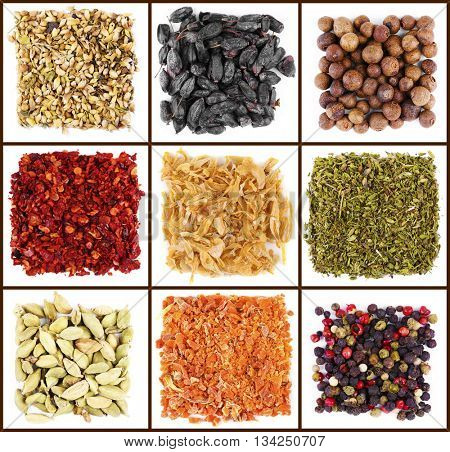 Set of different spices, isolated on white