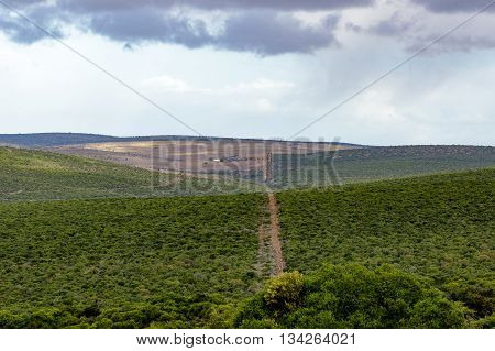 The Green - Addo Landscape