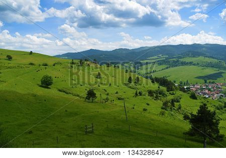 Mountains Pieniny in Slovakia and Poland in June
