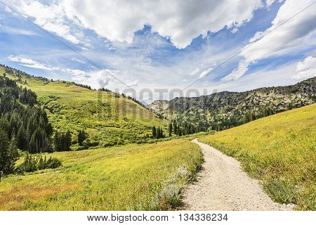 Albion Basin Landscape Image & Photo (Free Trial) | Bigstock