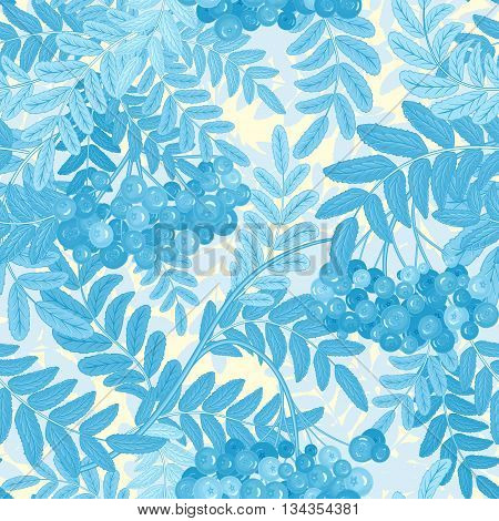 Vector seamless pattern with berries. Blue Rowanberries on a white Background