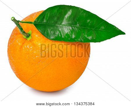 citrus fruit orange with leaf isolated on white background. Orange with leaf. Citrus orange isolated