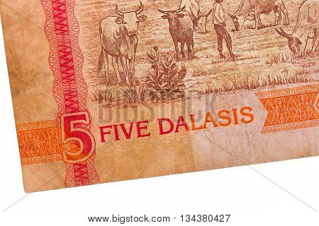 5 Gambian Dalasi Bank Note