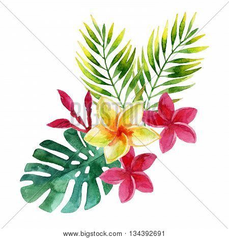 plumeria flowers and tropical leaves in watercolor