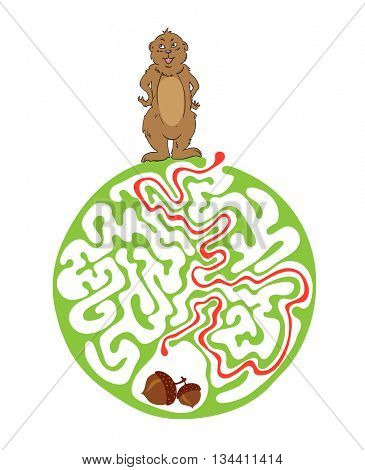 Maze puzzle for kids with Marmot and Nut. Labyrinth illustration, solution included.