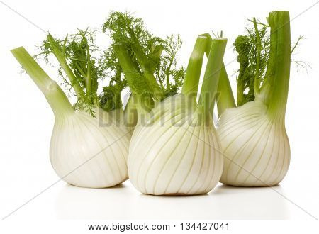 Fresh fennel bulb isolated on white background close up