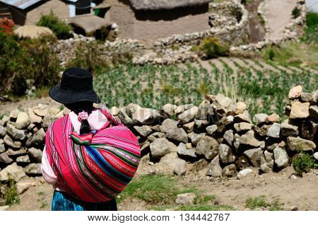 South America Bolivia - Isla del Sol on the Titicaca lake the largest highaltitude lake in the world. Ethnic woman returning to the village