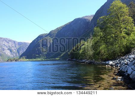 Fjord And Mountains