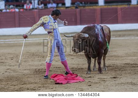 Andujar Spain - September 10 2011: The Spanish Bullfighter David Valiente bullfighting with the crutch in the Bullring of Andujar Spain