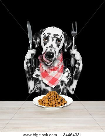 Dog is going to eat dried pet food -- isolated on black