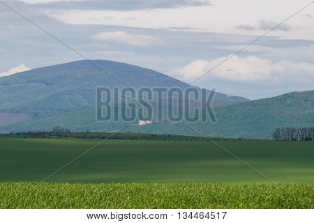 Green fields and hills with castle ruin on background