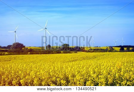 Row of wind turbines in Sweden