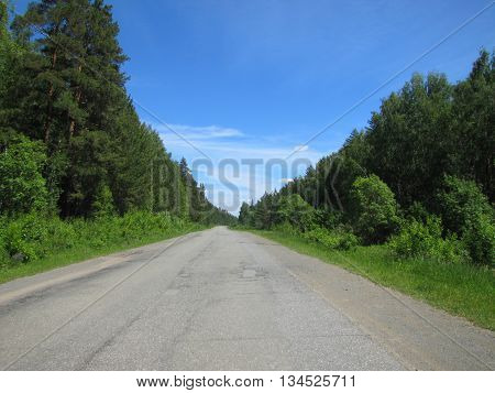 A country road in a wooded area without cars