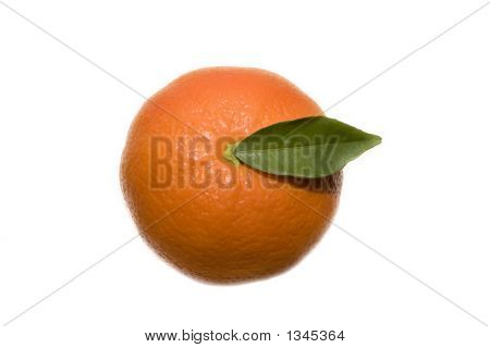  Oranje geïsoleerd
