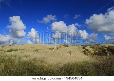 THE DUNES OF THE TOUQUET , NORTHERN FRANCE