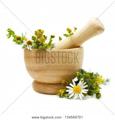 Chamomile and tutsan (Saint-John's-wort) medicine herbs on white