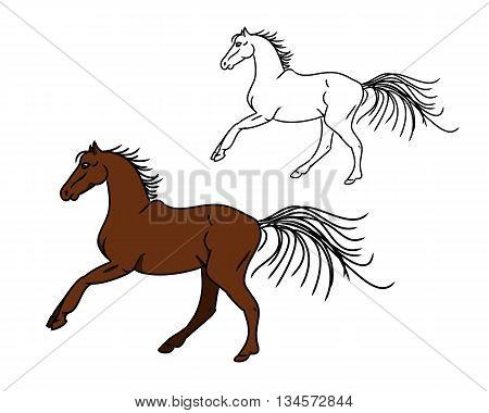 Two images of the horse. The contour and color figure on white background. Bay horse galloping. Vector illustration for child book
