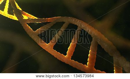 3D Model Of Dna Structure