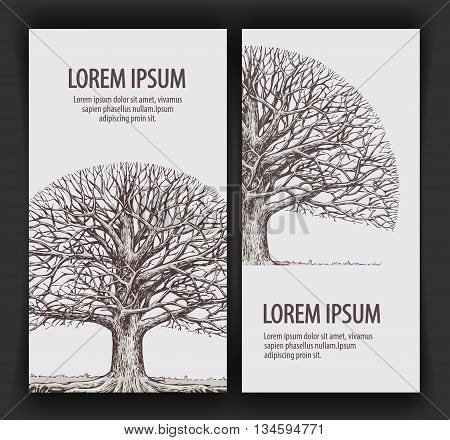 Tree without leaves. Nature or Ecology. Hand-drawn vector illustration