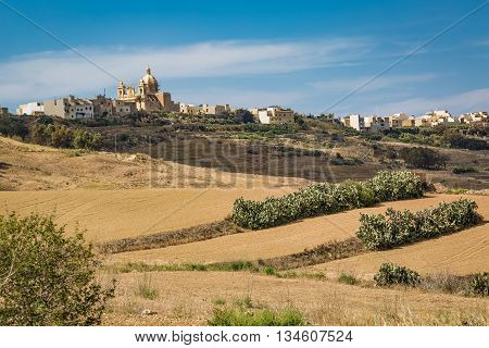 Stony Land In Malta