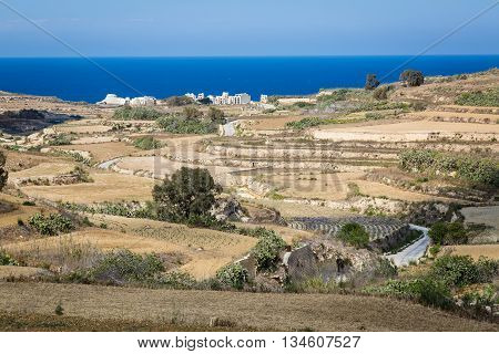 Stony Land In Malta