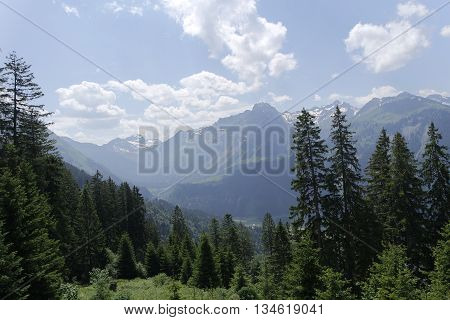 Mountains Of Bregenz