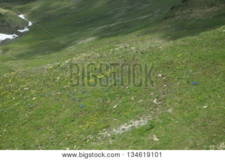 Mountains Of Bregenz