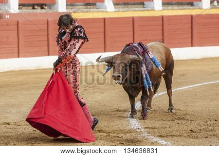 Andujar Spain - September 10 2011: The Spanish Bullfighter Juan Jose Padilla bullfighting with the crutch in the Bullring of Andujar Spain