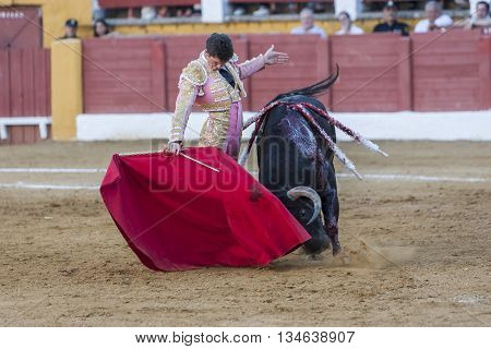 Andujar Spain - September 10 2011: The Spanish Bullfighter Daniel Luque bullfighting with the crutch in the Bullring of Andujar Spain