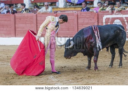Andujar Spain - September 10 2011: The Spanish Bullfighter Daniel Luque bullfighting with the crutch in the Bullring of Andujar Spain