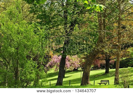 Poissy France - mai 2 2016 : the Meissonier park in spring
