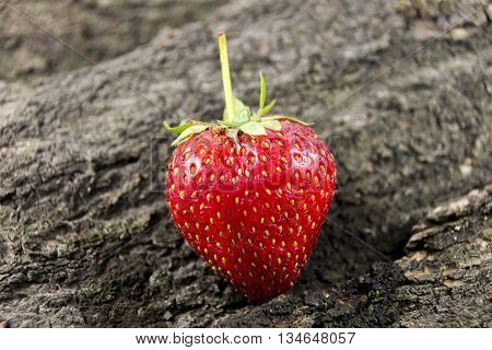 fresh strawberries on wooden background. Eco-friendly food
