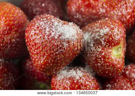 dessert of strawberries strawberries in powdered sugar.