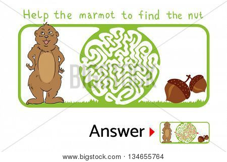 Maze puzzle for kids with Marmot and Nut. Labyrinth illustration, solution included.