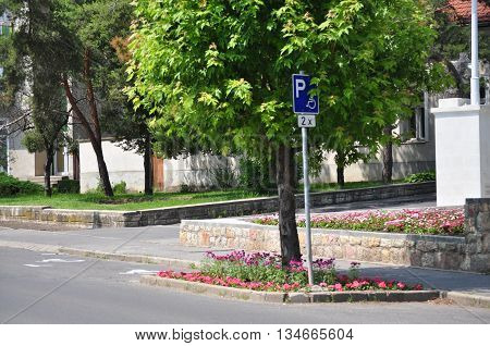 Disabled parking place and sign with flowers