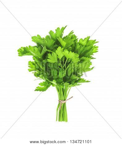 bunch of parsley isolated on white background