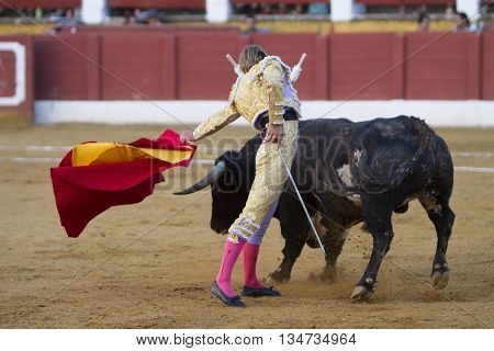 Andujar Spain - September 11 2010: The Spanish Bullfighter Ivan Garcia bullfighting with the crutch in the Bullring of Andujar Spain