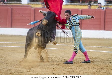 Andujar Spain - September 10 2010: The Spanish Bullfighter El Fundi bullfighting with the crutch in the Bullring of Andujar Spa