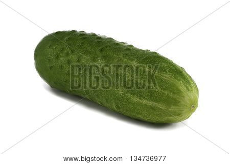 Fresh green cucumber on the white background